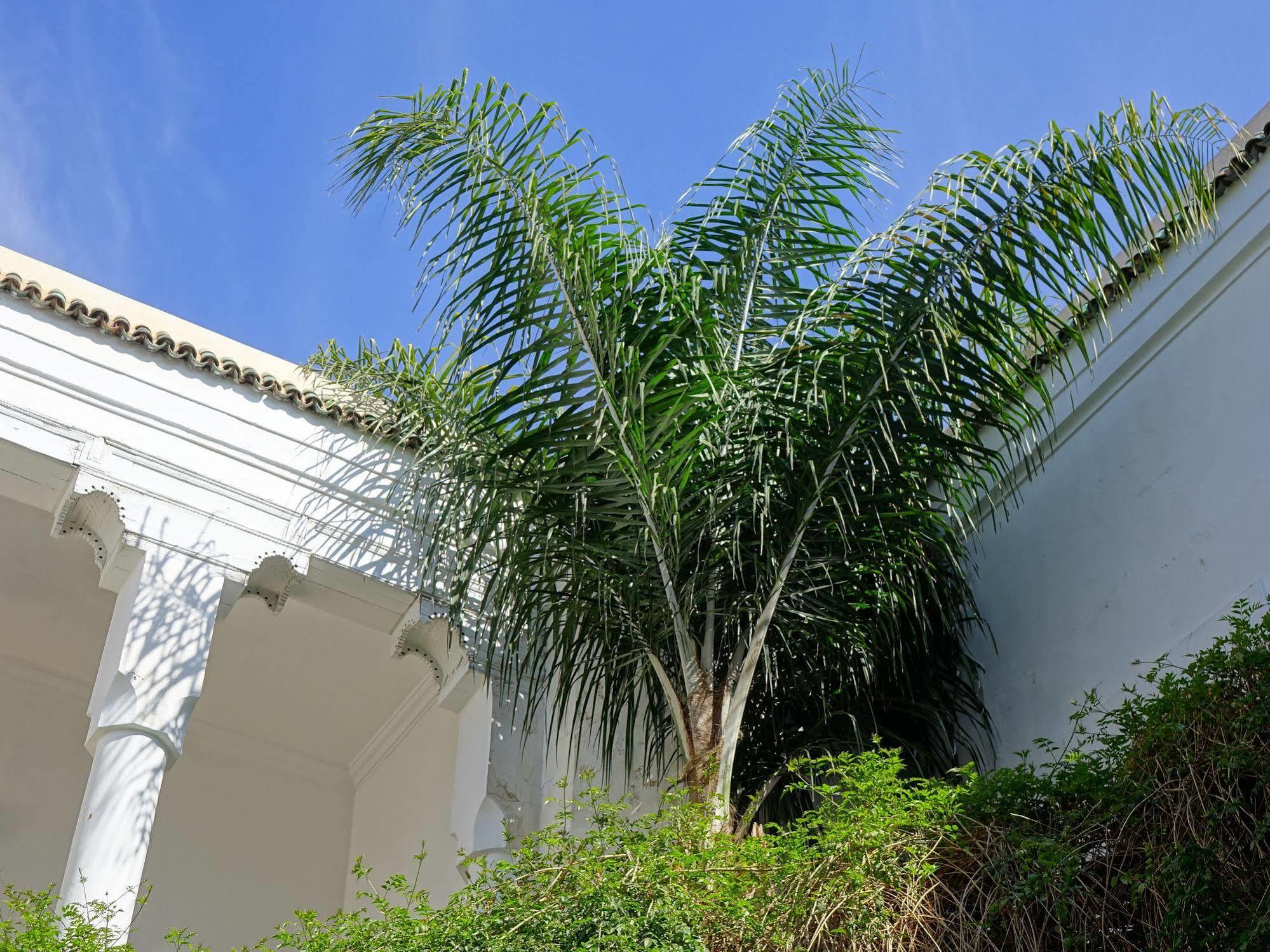 Riad Al Assala Маракеш Екстериор снимка